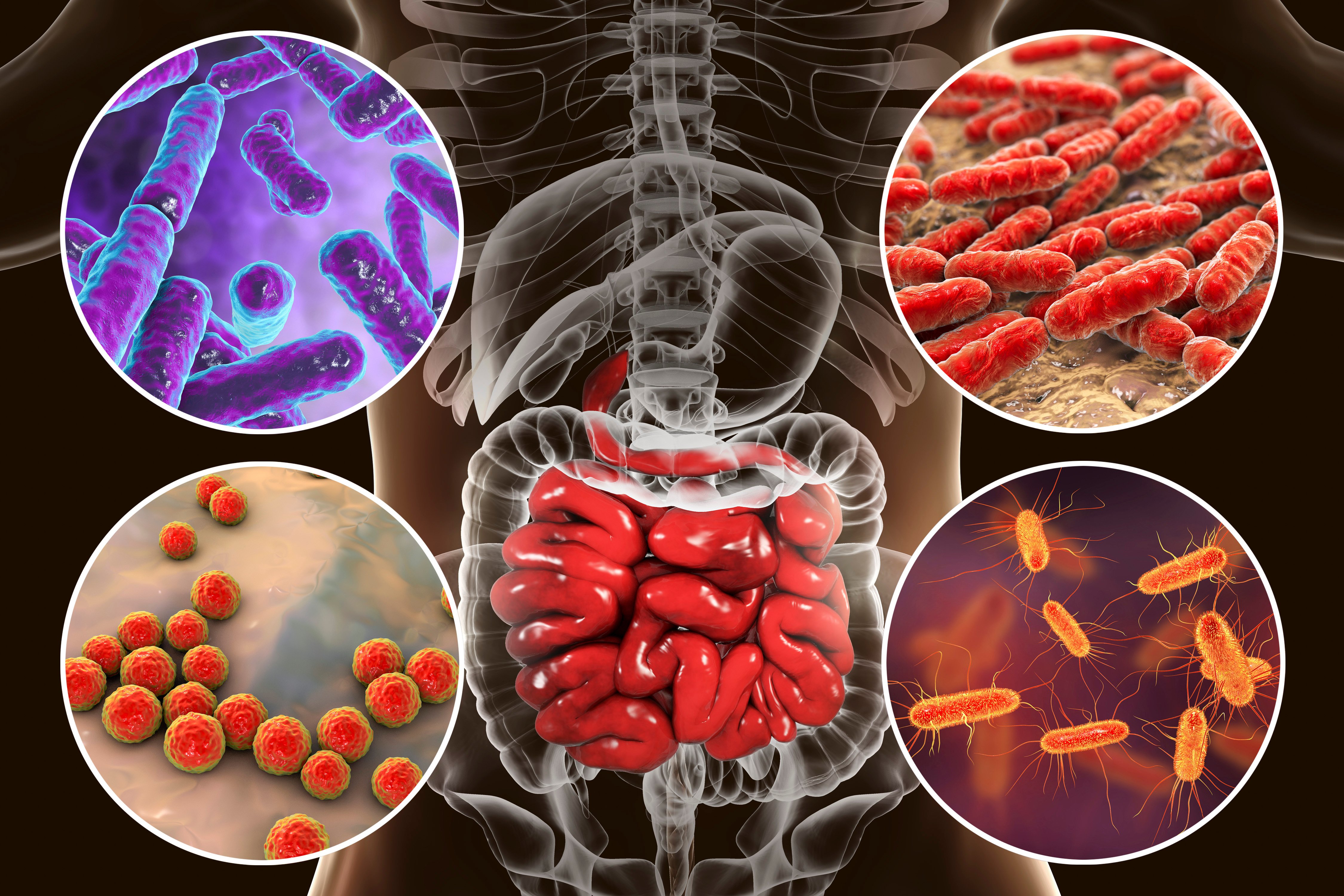 Gutsee Health