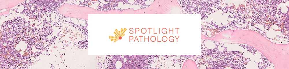 Spotlight Pathology Spotlight Banner