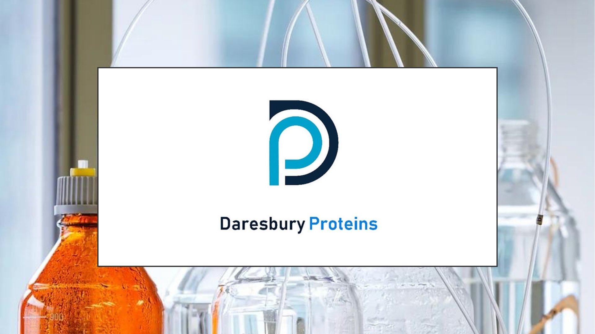 Daresbury Proteins
