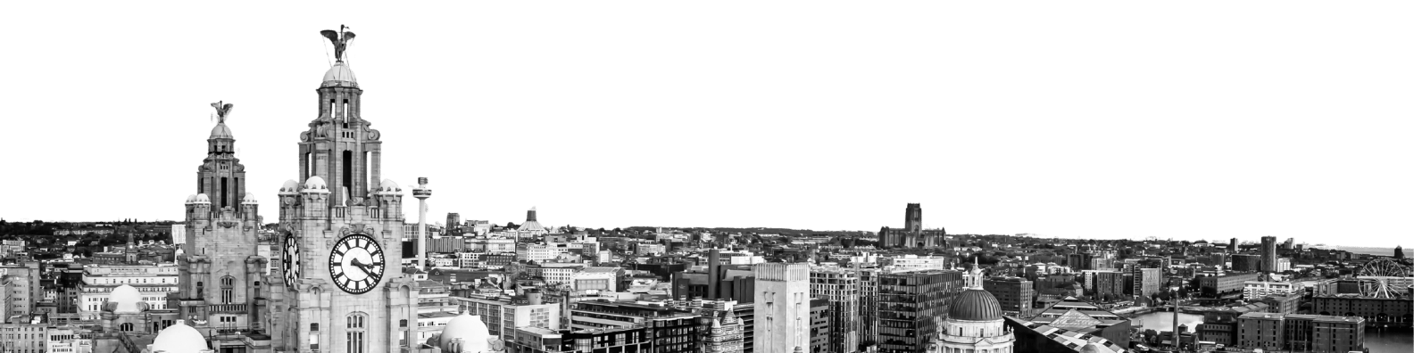 LINKEDIN BANNER-2